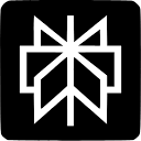 Perplexity Pro logo